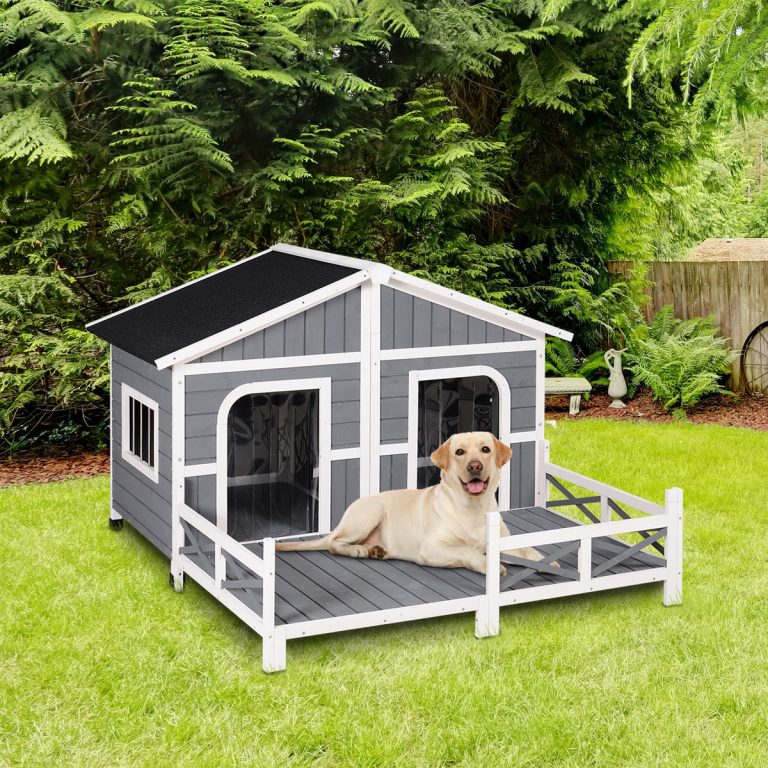 dog kennel Edmonton solution