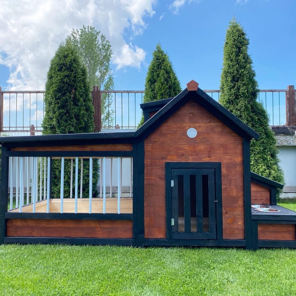 Elevated Dog House: #1 Guide for Caring Dog Owners today