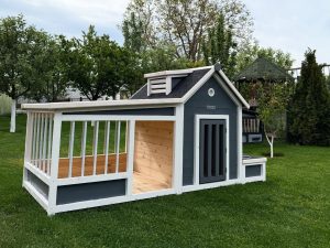 PET PALACE CHATEAU
