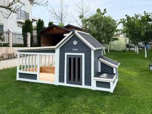 PET PALACE CHATEAU