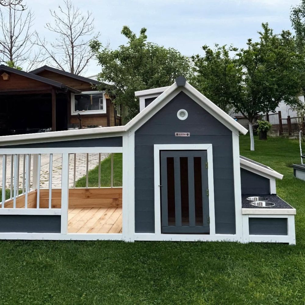 dog house ideas