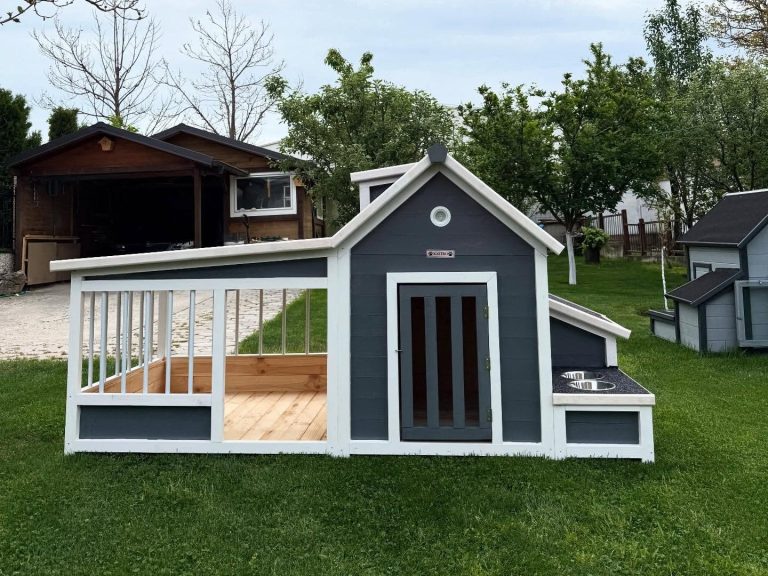 dog house ideas