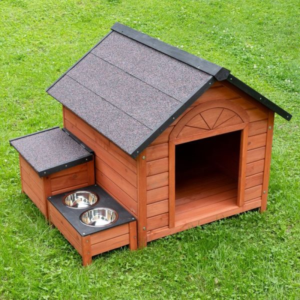 Elevated Dog House: #1 Guide for Caring Dog Owners today