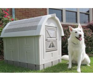 dog house ideas