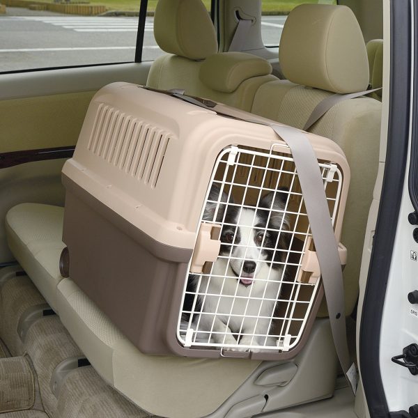 Mobile Pet Carrier