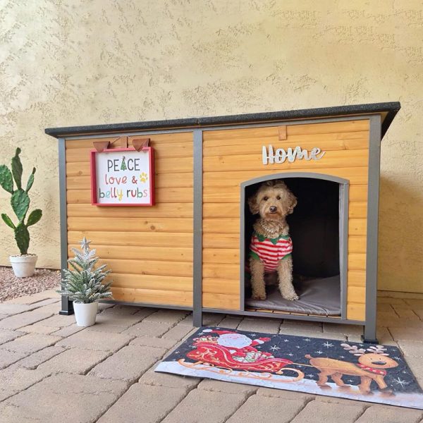 All Season Insulated Dog House 2