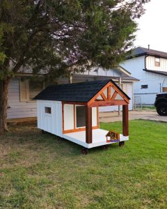 Stylish custom-built insulated dog house with white exterior and cedar accents, ideal for any backyard in the US, Canada, Australia.