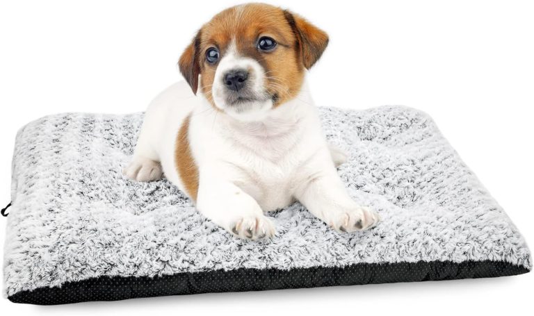 dog kennel pad dog beds for crates