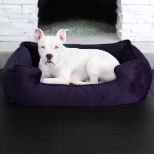 Bolster or Donut Beds Dog beds for crates