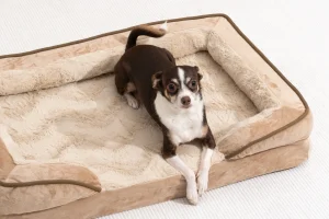 mattress style dog house bedding