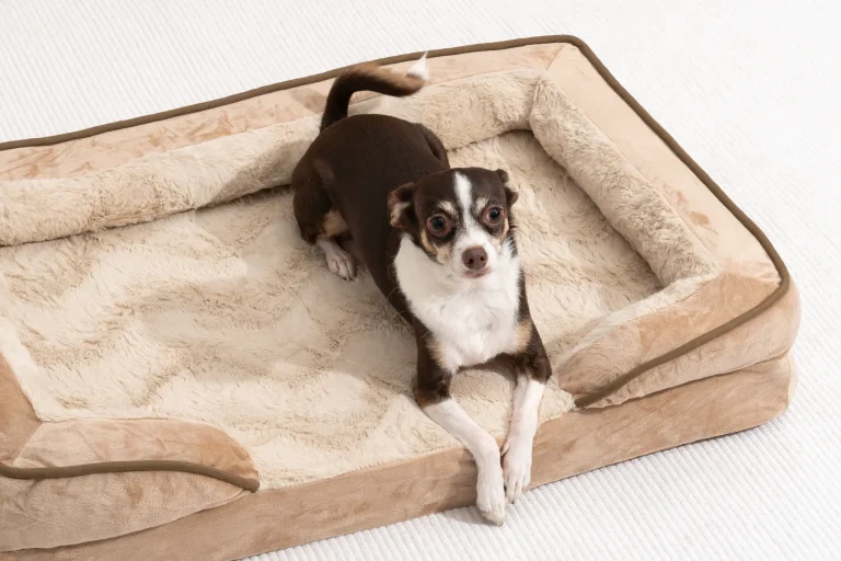 mattress style dog house bedding