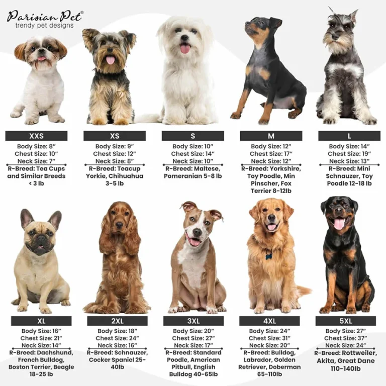 Dog sizing by breed