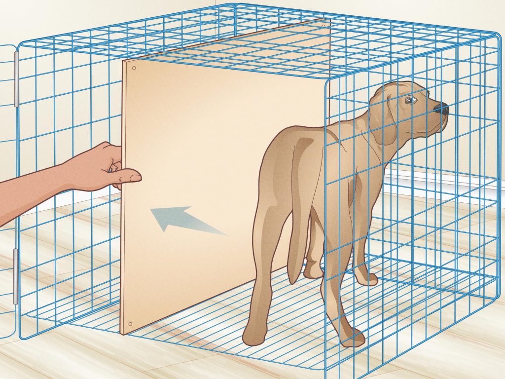 crate divider